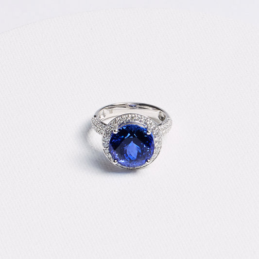 Round Tanzanite Halo Ring with Pavé Band · 8.43ct · 14K White Gold